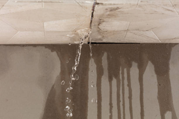 Professional Structural Drying technician working in Gray, ME